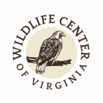 Director of Institutional Advancement