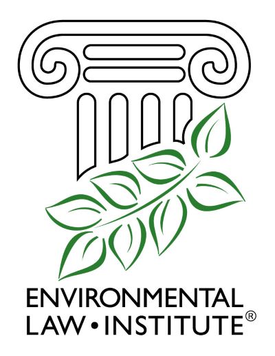 Interim Chief Financial Officer