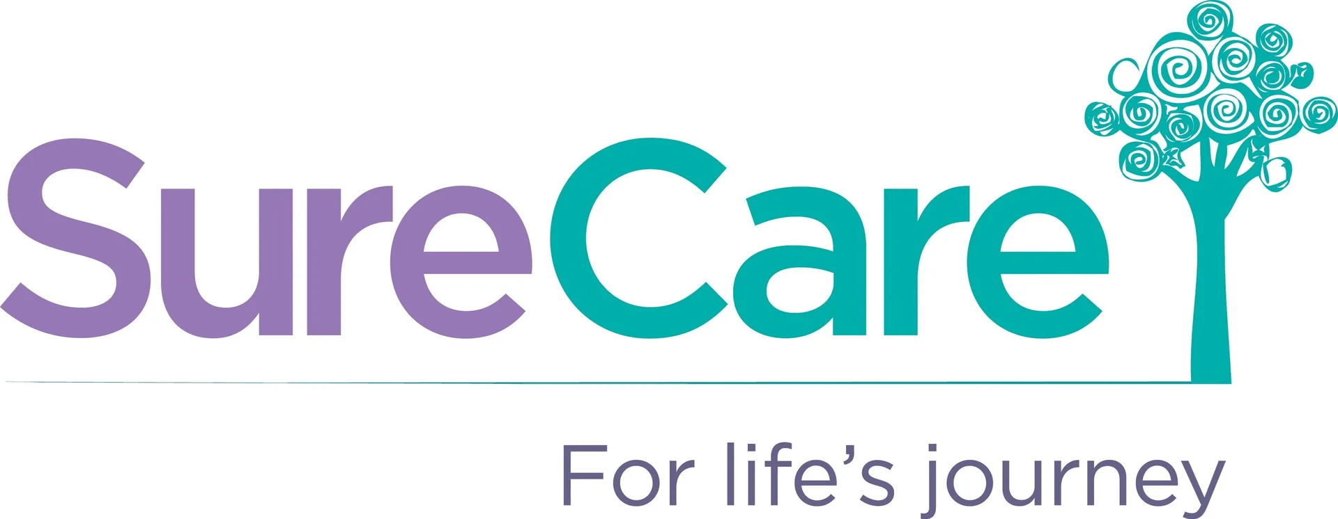 Home Care Assistant