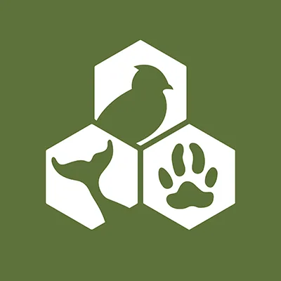 Manager pf Human Resources